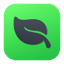 Mint icon